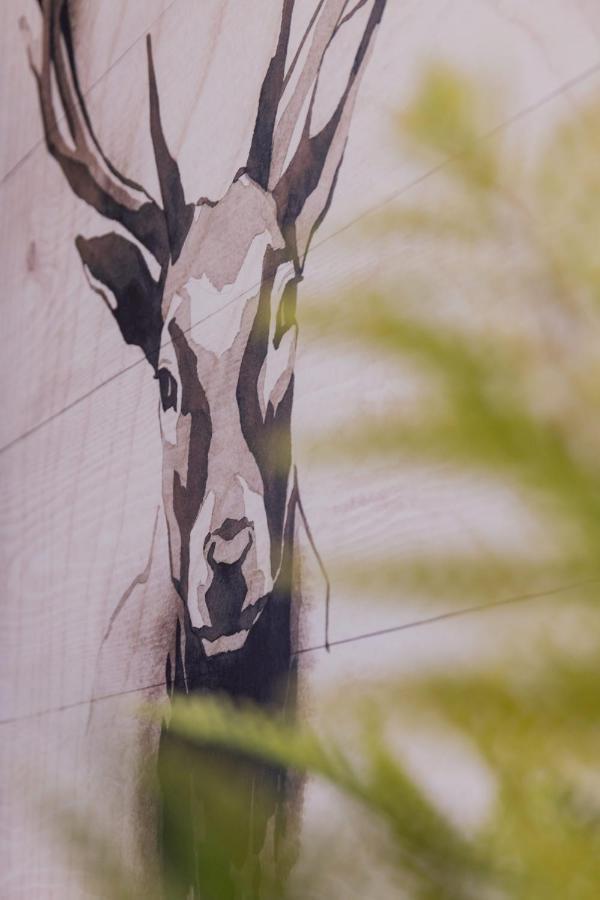 Nordic Style - 5 Min Dall'Arena & Parcheggio Verona Exterior foto